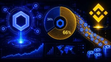 Chainlink يُصدر إشارة نادرة مع تركيز 66% من المعروض في بورصة Binance