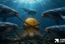 تحليل انخفاض البيتكوين بنسبة 15% في يونيو رغم شراء الحيتان لـ43 مليون دولار