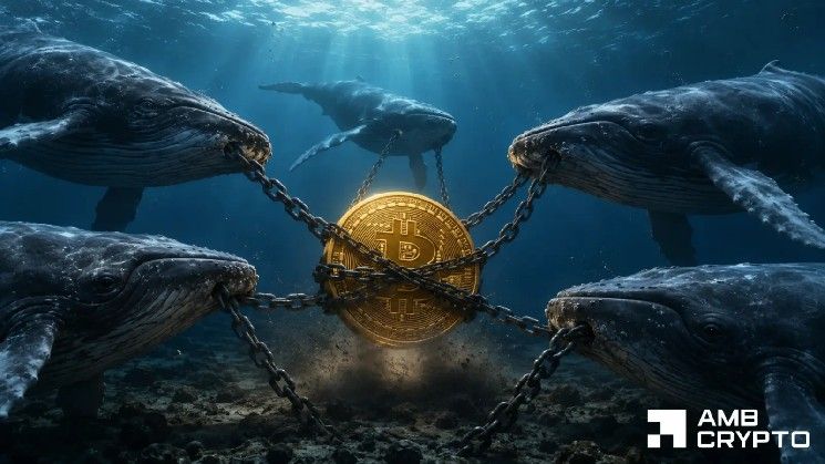تحليل انخفاض البيتكوين بنسبة 15% في يونيو رغم شراء الحيتان لـ43 مليون دولار