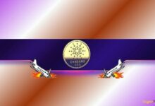 كارثة كاردانو: هل ADA مهدد بمزيد من الانخفاض؟