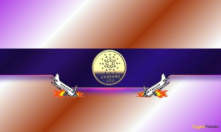 كارثة كاردانو: هل ADA مهدد بمزيد من الانخفاض؟