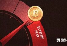 بيتكوين يدخل في خوف شديد عند 11 – هل التعافي ممكن بعد طرح سبيس إكس؟