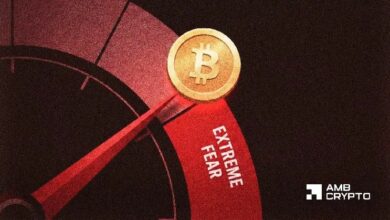 بيتكوين يدخل في خوف شديد عند 11 – هل التعافي ممكن بعد طرح سبيس إكس؟