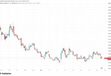 انخفاض سهم Cerebras المصنع لرقاقات الذكاء الاصطناعي بنسبة 11% بعد أول تقرير أرباح عام