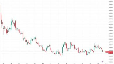 انخفاض سهم Cerebras المصنع لرقاقات الذكاء الاصطناعي بنسبة 11% بعد أول تقرير أرباح عام