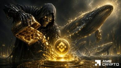 BNB: استعادة عملة بينانس لـ 600 دولار تعتمد على هاتين الإشارتين من الحيتان