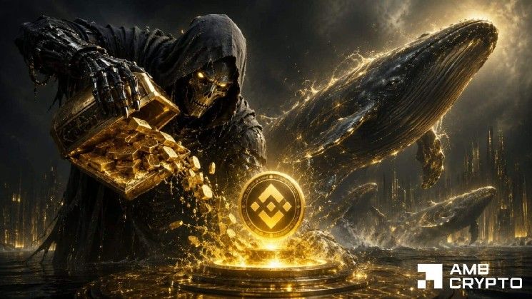 BNB: استعادة عملة بينانس لـ 600 دولار تعتمد على هاتين الإشارتين من الحيتان