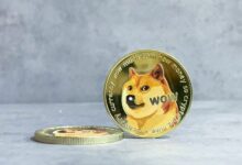توقعات سعر دوجكوين: مؤشر القوة النسبية يسجل أدنى مستوى نادر مع استعداد DOGE لاختراق كبير