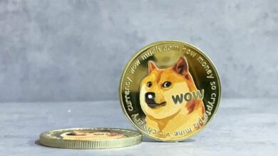 توقعات سعر دوجكوين: مؤشر القوة النسبية يسجل أدنى مستوى نادر مع استعداد DOGE لاختراق كبير
