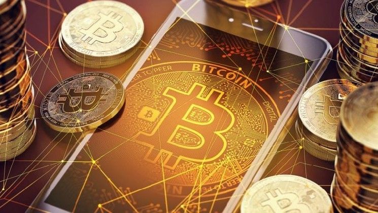أكبر 100 خزينة بيتكوين تمتلك الآن 1.26 مليون عملة BTC
