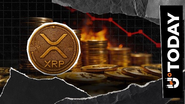 مستقبل XRP بعد اختبار 1 دولار: 3 سيناريوهات