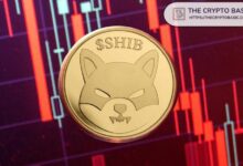 أول وأهم مستويات الدعم لـ Shiba Inu مع اختبار السعر لقيعان 2021