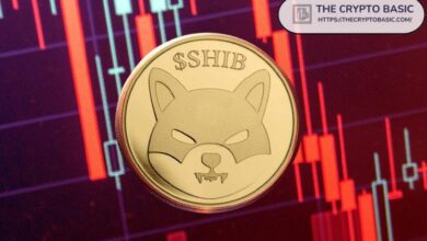 أول وأهم مستويات الدعم لـ Shiba Inu مع اختبار السعر لقيعان 2021