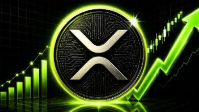 هل سيصل XRP إلى 100 دولار خلال 6 أشهر؟ إليك ثلاثة محفزات