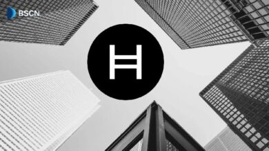 لماذا تدير جوجل وIBM وبوينغ عُقدًا خلف Hedera؟