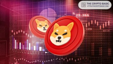 أكبر منصة تداول لامركزية تنتقد قيادة Shiba Inu: "لن يغادروا أو يسلموا المفاتيح لأيدٍ قادرة"