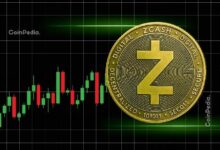 زكاش ينهار: سعر ZEC ينخفض 35%.. هل تبيع أم تحتفظ؟