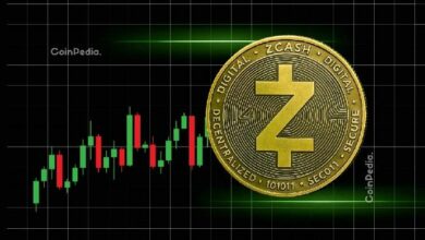 زكاش ينهار: سعر ZEC ينخفض 35%.. هل تبيع أم تحتفظ؟