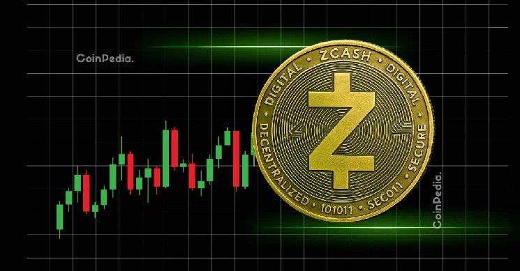 زكاش ينهار: سعر ZEC ينخفض 35%.. هل تبيع أم تحتفظ؟