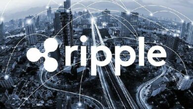 اكتتاب Ripple ليس حلماً: خبير يتوقع موعد الإدراج العام لمستثمري XRP