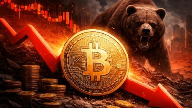 عناوين المقالات المترجمة: "الدببة البيتكوين تستهدف مستويات أدنى بعد فشل التعافي حسب محللي ترادينج فيو"