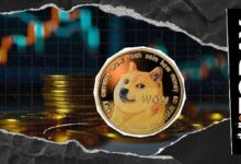 "1 DOGE = 1 DOGE": مدير دوجكوين يوضح ما يهم حقًا وسط انهيار السوق