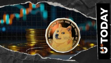 "1 DOGE = 1 DOGE": مدير دوجكوين يوضح ما يهم حقًا وسط انهيار السوق