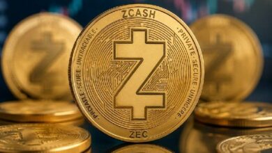 المطورون يتحركون بعد انهيار زيكاش: تحديث كبير قادم