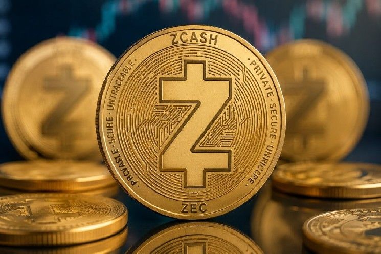 المطورون يتحركون بعد انهيار زيكاش: تحديث كبير قادم