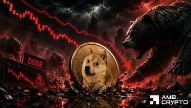 تحليل انخفاض دوجكوين دون 0.08 دولار: ما التالي؟