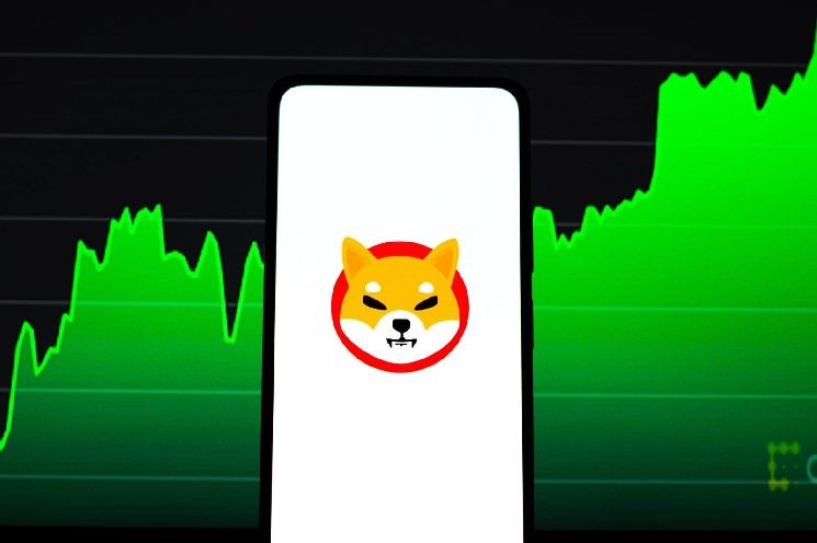 يوليو قد يكون الشهر الذي ينتظره حاملو شيبا إينو (SHIB)، كما يشير تاريخ السعر