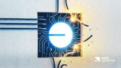 "الإيقاف غير مقبول" – كل ما تريد معرفته عن Base ومشكلة الإجماع