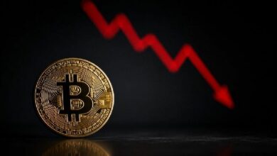 ترجمة العنوان: "تحليل قاع سوق البيتكوين (BTC) من رئيس CryptoQuant ومحلل: هل القاع قريب أم بعيد وفقًا للبيانات؟ إليكم..."