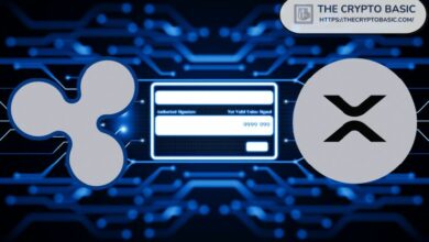 **تحديث xrpld 3.2.0 يزيل اسم "Ripple" من البرنامج الأساسي لدفتر XRP**