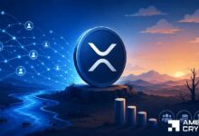 تراجع رسوم XRP بنسبة 91% مع تلاشي الطلب على Ripple