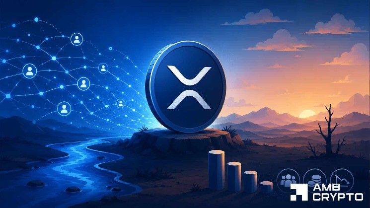 تراجع رسوم XRP بنسبة 91% مع تلاشي الطلب على Ripple