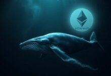 حوت مرتبط بـ BIT يواجه خسائر غير محققة بقيمة 84 مليون دولار بسبب مركز شراء إيثريوم برافعة مالية مع تراجع الإيثيريوم دون 1,600 دولار