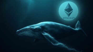 حوت مرتبط بـ BIT يواجه خسائر غير محققة بقيمة 84 مليون دولار بسبب مركز شراء إيثريوم برافعة مالية مع تراجع الإيثيريوم دون 1,600 دولار