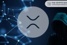 مُستثمر XRP يفقد 16.8 ألف دولار في احتيال طلب دفع عبر رسالة تحقق مزيفة من "Safe XRPL" تستنزف 14,646 عملة XRP