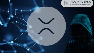 مُستثمر XRP يفقد 16.8 ألف دولار في احتيال طلب دفع عبر رسالة تحقق مزيفة من "Safe XRPL" تستنزف 14,646 عملة XRP