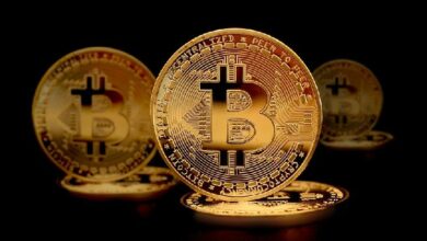 هيكل سوق البيتكوين يعكس تأثير المستثمرين الكبار