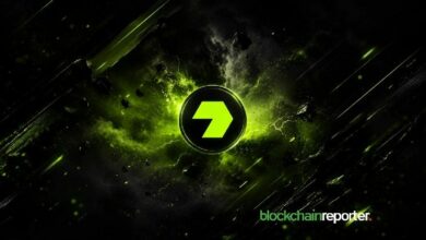 رايکو تطلق '$rkuSOL' كأول رمز سيولة مراهن من سولانا بعوائد من مزاد مساحة الكتل