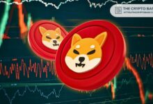 مستثمرو Shiba Inu يسحبون أكثر من 350 مليار SHIB من البورصات