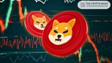 مستثمرو Shiba Inu يسحبون أكثر من 350 مليار SHIB من البورصات