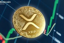 أطروحة "النجم الشمالي" لـ XRP تكتسب زخماً يتجاوز ريبل
