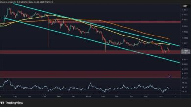تحليل سعر الريبل: إلى أين تتجه عملة XRP بعد الرفض الأسبوعي