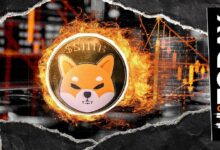 تراجع حرق Shiba Inu (SHIB) عند 4.99 مليون: لماذا لا تتأثر نسبة الحرق؟