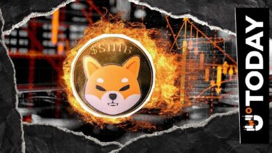 تراجع حرق Shiba Inu (SHIB) عند 4.99 مليون: لماذا لا تتأثر نسبة الحرق؟