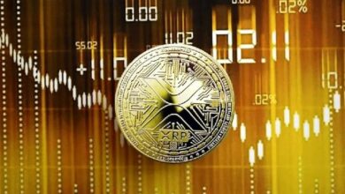 ريبل تحصل على مسار مباشر لشبكة مدفوعات بريكس عبر ستاندرد تشارترد