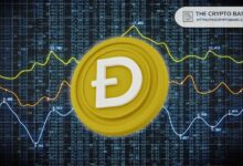 حاملو دوجكوين بأكثر من 1000 عملة ضمن أعلى 10% من المحافظ رغم انخفاض السعر